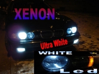 Xenon  лампа H11 - C эффектом Xenon :: H11